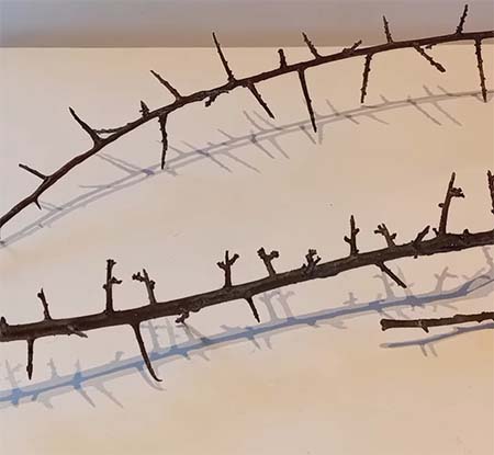 Blackthorn Stems Cast in Bronze